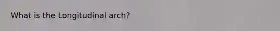 What is the Longitudinal arch?