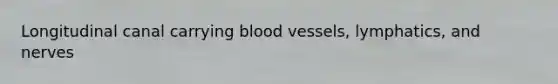 Longitudinal canal carrying blood vessels, lymphatics, and nerves