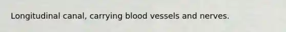 Longitudinal canal, carrying <a href='https://www.questionai.com/knowledge/kZJ3mNKN7P-blood-vessels' class='anchor-knowledge'>blood vessels</a> and nerves.