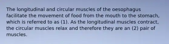 The longitudinal and circular muscles of the oesophagus facilitate the movement of food from the mouth to the stomach, which is referred to as (1). As the longitudinal muscles contract, the circular muscles relax and therefore they are an (2) pair of muscles.