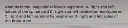 what does the longitudinal fissure separate? A. right and left halves of the spinal cord B. right and left cerebellar hemispheres C. right and left cerebral hemispheres D. right and left sides of the brain stem