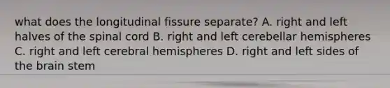 what does the longitudinal fissure separate? A. right and left halves of the spinal cord B. right and left cerebellar hemispheres C. right and left cerebral hemispheres D. right and left sides of the brain stem