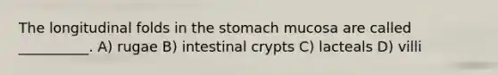 The longitudinal folds in the stomach mucosa are called __________. A) rugae B) intestinal crypts C) lacteals D) villi