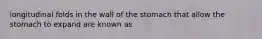 longitudinal folds in the wall of the stomach that allow the stomach to expand are known as
