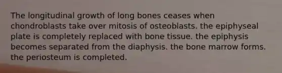 The longitudinal growth of long bones ceases when chondroblasts take over mitosis of osteoblasts. the epiphyseal plate is completely replaced with bone tissue. the epiphysis becomes separated from the diaphysis. the bone marrow forms. the periosteum is completed.