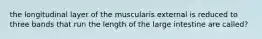 the longitudinal layer of the muscularis external is reduced to three bands that run the length of the large intestine are called?