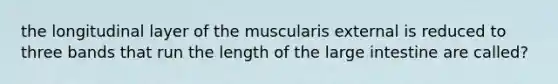 the longitudinal layer of the muscularis external is reduced to three bands that run the length of the large intestine are called?