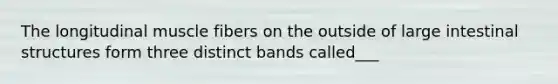The longitudinal muscle fibers on the outside of large intestinal structures form three distinct bands called___