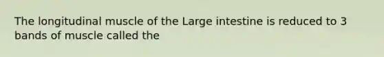 The longitudinal muscle of the Large intestine is reduced to 3 bands of muscle called the