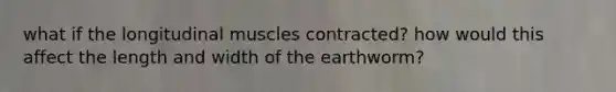 what if the longitudinal muscles contracted? how would this affect the length and width of the earthworm?