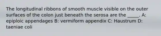 The longitudinal ribbons of smooth muscle visible on the outer surfaces of the colon just beneath the serosa are the _____. A: epiploic appendages B: vermiform appendix C: Haustrum D: taeniae coli