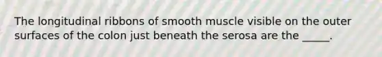 The longitudinal ribbons of smooth muscle visible on the outer surfaces of the colon just beneath the serosa are the _____.