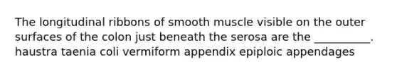 The longitudinal ribbons of smooth muscle visible on the outer surfaces of the colon just beneath the serosa are the __________. haustra taenia coli vermiform appendix epiploic appendages