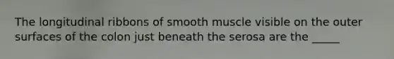 The longitudinal ribbons of smooth muscle visible on the outer surfaces of the colon just beneath the serosa are the _____