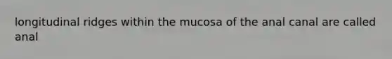 longitudinal ridges within the mucosa of the anal canal are called anal