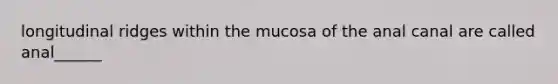 longitudinal ridges within the mucosa of the anal canal are called anal______