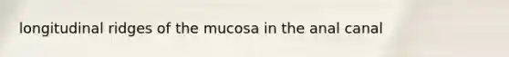 longitudinal ridges of the mucosa in the anal canal