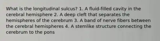 What is the longitudinal sulcus? 1. A fluid-filled cavity in the cerebral hemisphere 2. A deep cleft that separates the hemispheres of the cerebrum 3. A band of nerve fibers between the cerebral hemispheres 4. A stemlike structure connecting the cerebrum to the pons