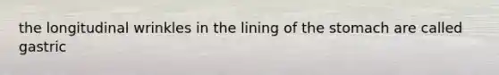 the longitudinal wrinkles in the lining of the stomach are called gastric