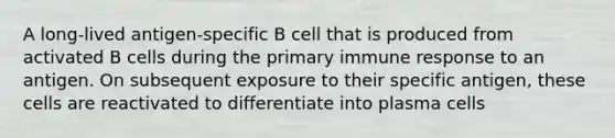 A long-lived antigen-specific B cell that is produced from activated B cells during the primary immune response to an antigen. On subsequent exposure to their specific antigen, these cells are reactivated to differentiate into plasma cells