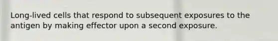 Long-lived cells that respond to subsequent exposures to the antigen by making effector upon a second exposure.