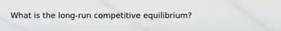 What is the long-run competitive equilibrium?