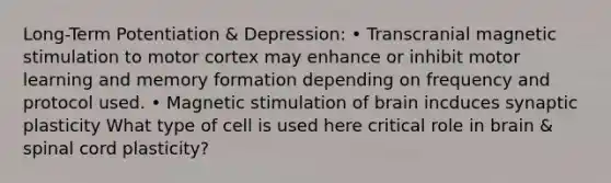 Long-Term Potentiation & Depression: • Transcranial magnetic stimulation to motor cortex may enhance or inhibit motor learning and memory formation depending on frequency and protocol used. • Magnetic stimulation of brain incduces synaptic plasticity What type of cell is used here critical role in brain & spinal cord plasticity?