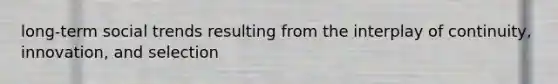 long-term social trends resulting from the interplay of continuity, innovation, and selection