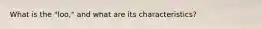What is the "loo," and what are its characteristics?