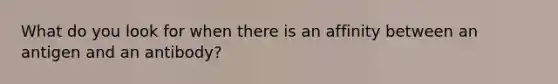 What do you look for when there is an affinity between an antigen and an antibody?