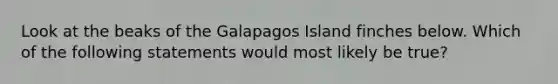 Look at the beaks of the Galapagos Island finches below. Which of the following statements would most likely be true?