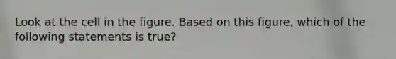 Look at the cell in the figure. Based on this figure, which of the following statements is true?