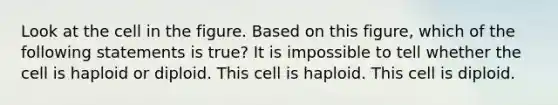 Look at the cell in the figure. Based on this figure, which of the following statements is true? It is impossible to tell whether the cell is haploid or diploid. This cell is haploid. This cell is diploid.