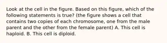 Look at the cell in the figure. Based on this figure, which of the following statements is true? (the figure shows a cell that contains two copies of each chromosome, one from the male parent and the other from the female parent) A. This cell is haploid. B. This cell is diploid.