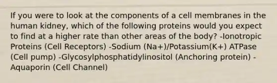 If you were to look at the components of a cell membranes in the human kidney, which of the following proteins would you expect to find at a higher rate than other areas of the body? -Ionotropic Proteins (Cell Receptors) -Sodium (Na+)/Potassium(K+) ATPase (Cell pump) -Glycosylphosphatidylinositol (Anchoring protein) -Aquaporin (Cell Channel)