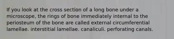 If you look at the cross section of a long bone under a microscope, the rings of bone immediately internal to the periosteum of the bone are called external circumferential lamellae. interstitial lamellae. canaliculi. perforating canals.