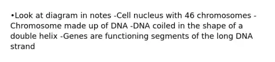 •Look at diagram in notes -<a href='https://www.questionai.com/knowledge/ksZq6y1LRD-cell-nucleus' class='anchor-knowledge'>cell nucleus</a> with 46 chromosomes -Chromosome made up of DNA -DNA coiled in the shape of a double helix -Genes are functioning segments of the long DNA strand