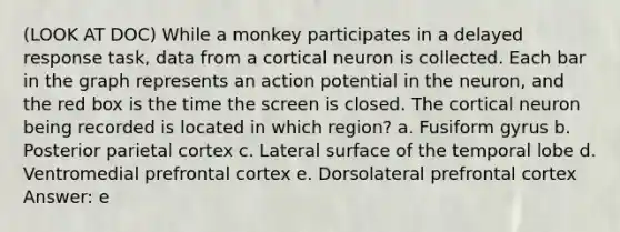 (LOOK AT DOC) While a monkey participates in a delayed response task, data from a cortical neuron is collected. Each bar in the graph represents an action potential in the neuron, and the red box is the time the screen is closed. The cortical neuron being recorded is located in which region? a. Fusiform gyrus b. Posterior parietal cortex c. Lateral surface of the temporal lobe d. Ventromedial prefrontal cortex e. Dorsolateral prefrontal cortex Answer: e