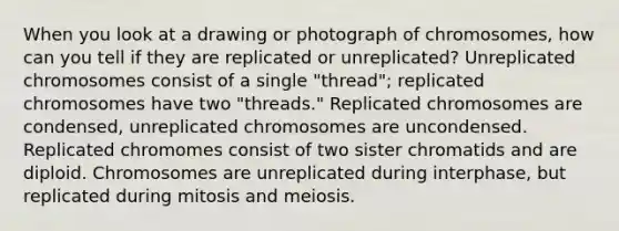 When you look at a drawing or photograph of chromosomes, how can you tell if they are replicated or unreplicated? Unreplicated chromosomes consist of a single "thread"; replicated chromosomes have two "threads." Replicated chromosomes are condensed, unreplicated chromosomes are uncondensed. Replicated chromomes consist of two sister chromatids and are diploid. Chromosomes are unreplicated during interphase, but replicated during mitosis and meiosis.