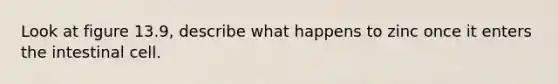 Look at figure 13.9, describe what happens to zinc once it enters the intestinal cell.