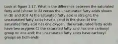 Look at figure 2.17. What is the difference between the saturated fatty acid (shown in A) versus the unsaturated fatty acids shown in (B) and (C)? A) the saturated fatty acid is straight; the unsaturated fatty acids have a bend in the chain B) the saturated fatty acid has one oxygen; the unsaturated fatty acids have two oxygens C) the saturated fatty acid has one carboxyl group on one end; the unsaturated fatty acids have carboxyl groups on both ends