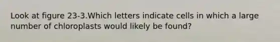 Look at figure 23-3.Which letters indicate cells in which a large number of chloroplasts would likely be found?