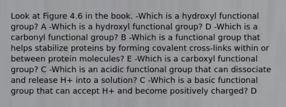 Look at Figure 4.6 in the book. -Which is a hydroxyl functional group? A -Which is a hydroxyl functional group? D -Which is a carbonyl functional group? B -Which is a functional group that helps stabilize proteins by forming covalent cross-links within or between protein molecules? E -Which is a carboxyl functional group? C -Which is an acidic functional group that can dissociate and release H+ into a solution? C -Which is a basic functional group that can accept H+ and become positively charged? D