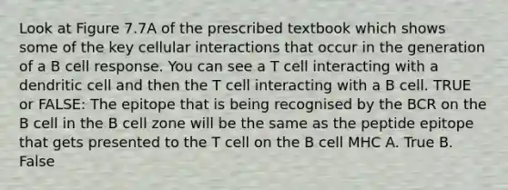 Look at Figure 7.7A of the prescribed textbook which shows some of the key cellular interactions that occur in the generation of a B cell response. You can see a T cell interacting with a dendritic cell and then the T cell interacting with a B cell. TRUE or FALSE: The epitope that is being recognised by the BCR on the B cell in the B cell zone will be the same as the peptide epitope that gets presented to the T cell on the B cell MHC A. True B. False