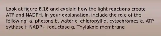 Look at figure 8.16 and explain how the <a href='https://www.questionai.com/knowledge/kSUoWrrvoC-light-reactions' class='anchor-knowledge'>light reactions</a> create ATP and NADPH. In your explanation, include the role of the following: a. photons b. water c. chloropyll d. cytochromes e. ATP sythase f. NADP+ reductase g. Thylakoid membrane