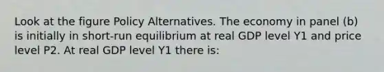 Look at the figure Policy Alternatives. The economy in panel (b) is initially in short-run equilibrium at real GDP level Y1 and price level P2. At real GDP level Y1 there is: