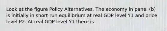 Look at the figure Policy Alternatives. The economy in panel (b) is initially in short-run equilibrium at real GDP level Y1 and price level P2. At real GDP level Y1 there is