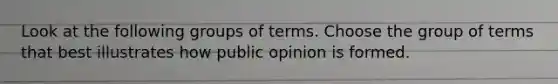 Look at the following groups of terms. Choose the group of terms that best illustrates how public opinion is formed.