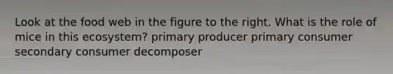 Look at the food web in the figure to the right. What is the role of mice in this ecosystem? primary producer primary consumer secondary consumer decomposer