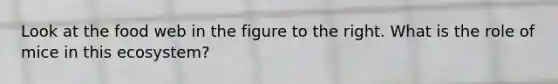 Look at the food web in the figure to the right. What is the role of mice in this ecosystem?